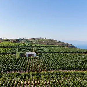Tenuta Di Castellaro Winery & Lipari (Isola Lipari)